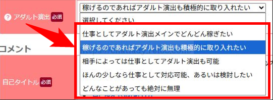 マダムとおしゃべり館のアダルト設定