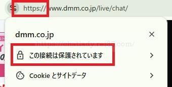 FANZAチャットレディの安全性の写真