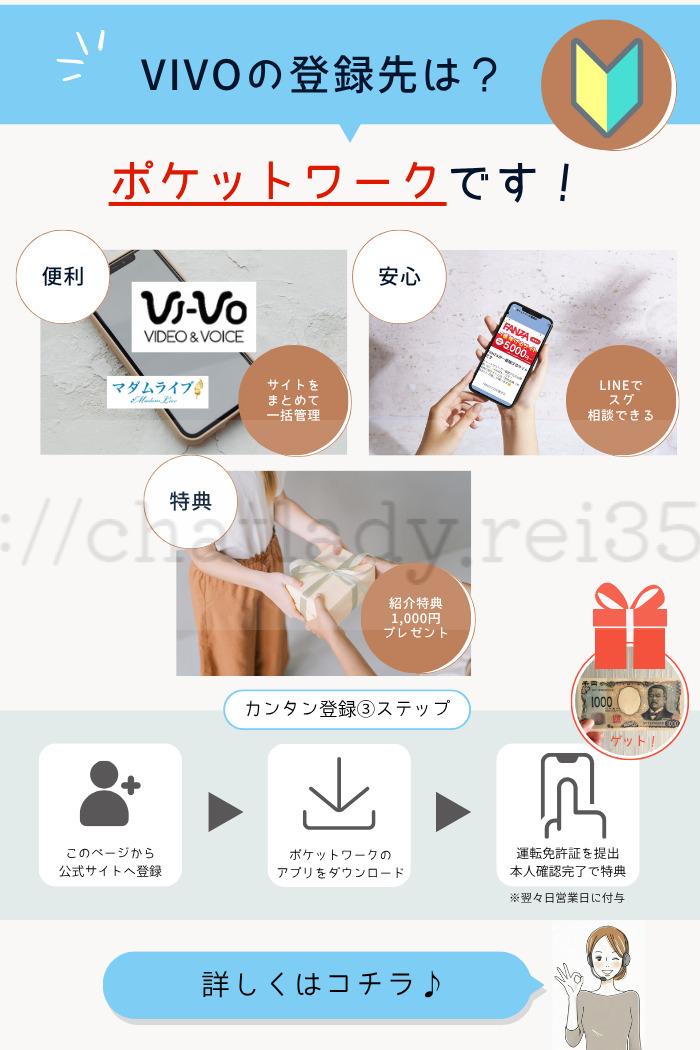 VIVOポケットワークREI登録限定特典 