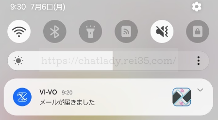 VIVOの注意点